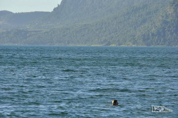 A Ana se refresca no lago Villarrica, em Pucón, no sul do Chile
